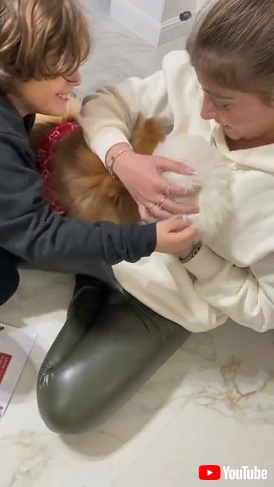 感激する女の子