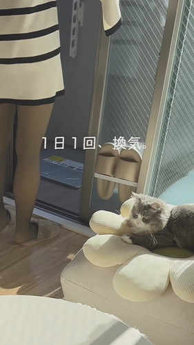 「結露に困ってる人以外見ないで！」