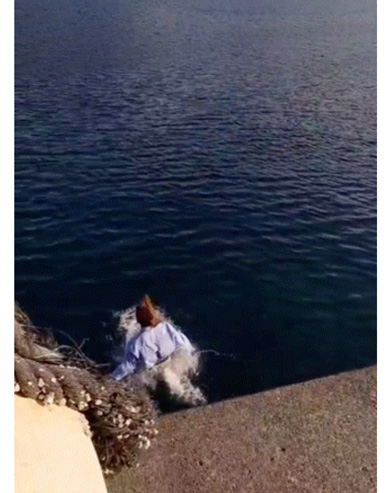 大沼晶保ブログ