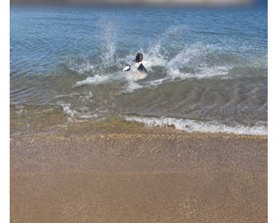 大沼晶保ブログ