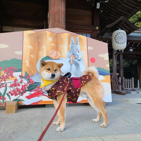 うさぎ祈祷札の前
