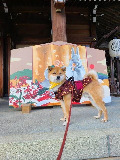 うさぎ祈祷札の前