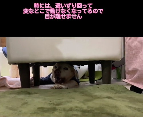 介護