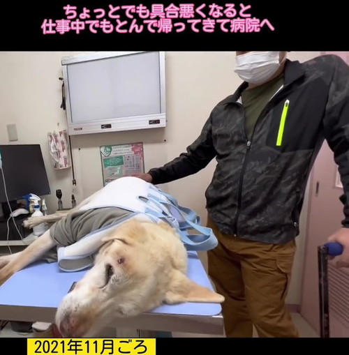 介護