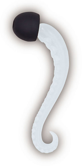 「タコの耳栓コレクション」イカゲソ