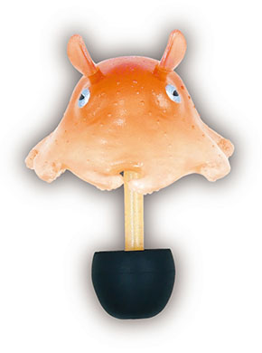 「タコの耳栓コレクション」メンダコ