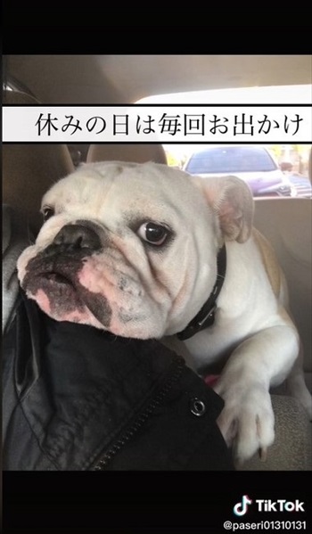 休みの日におでかけ