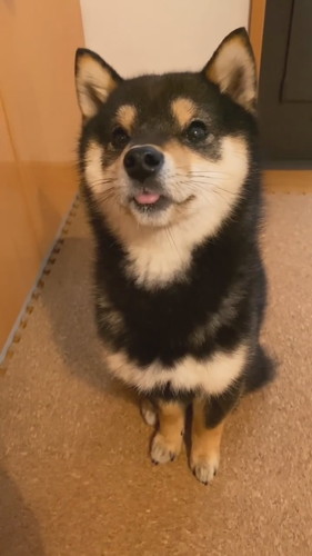 「2023年初舌ちろッ」