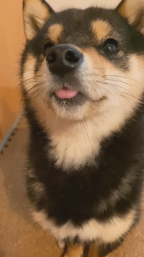 「2023年初舌ちろッ」