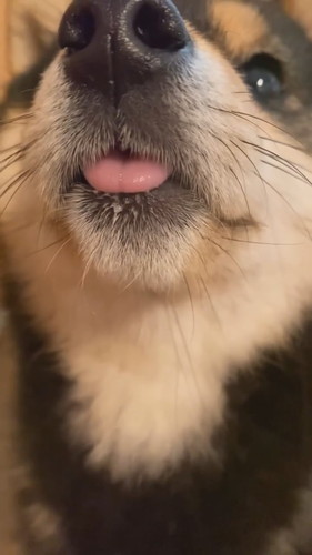 「2023年初舌ちろッ」