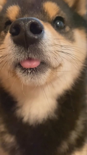 「2023年初舌ちろッ」