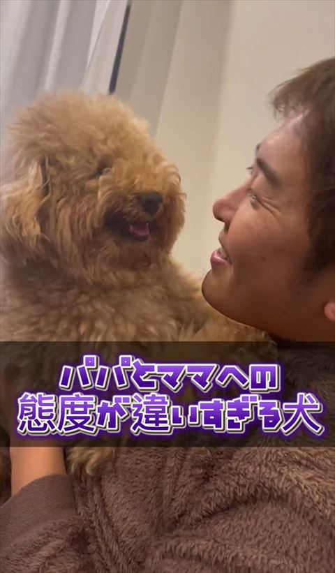 笑ってるようなワンコと見つめ合うパパさん