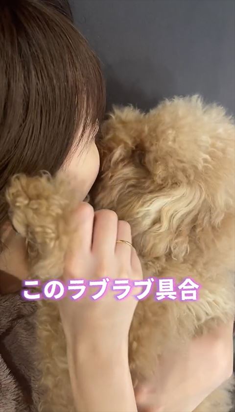 このラブラブ具合テロップ