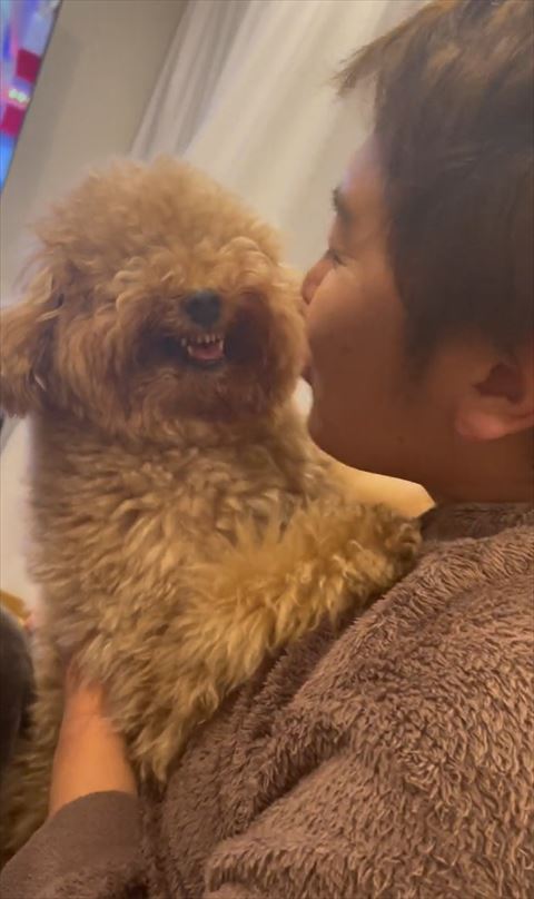 歯を見せるワンコ正面とパパさん