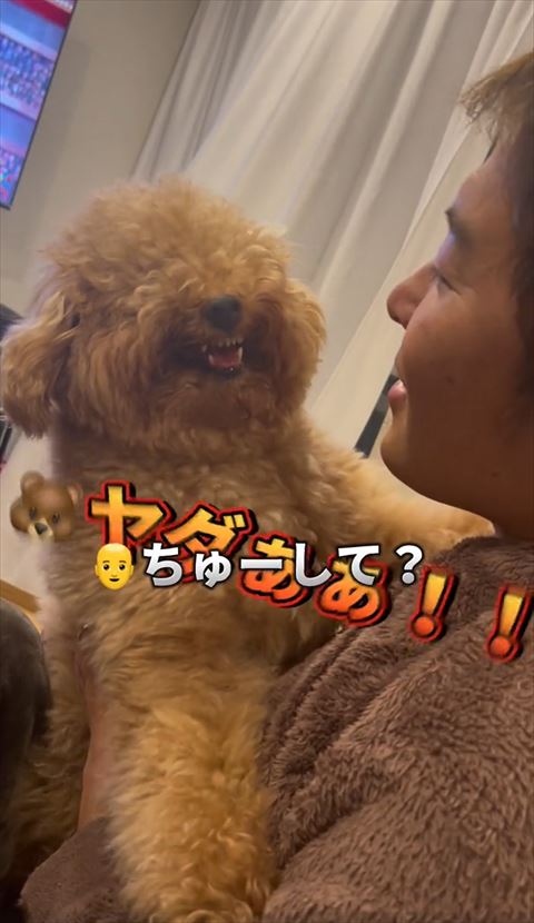 ヤダーとチューしてのテロップ重なる