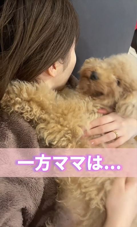 一方ママはテロップ