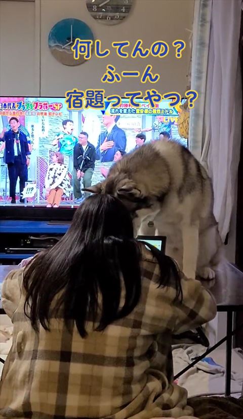 何してんのテロップ