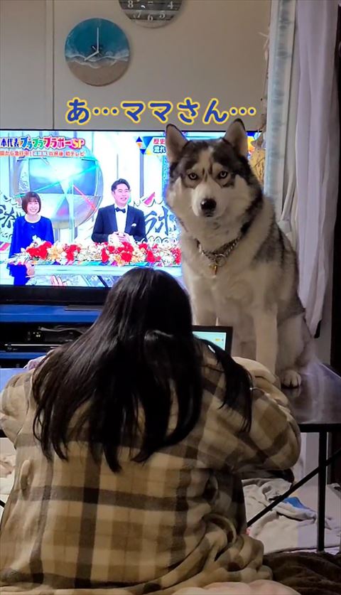 あママさんテロップ