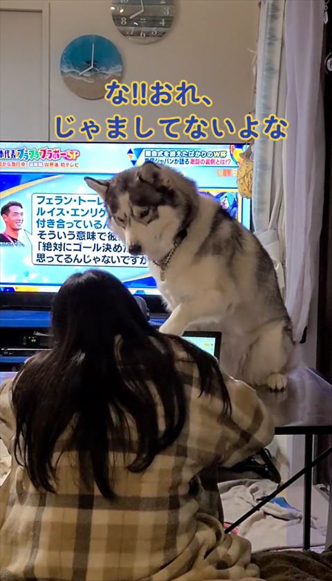 俺邪魔してないよなテロップ