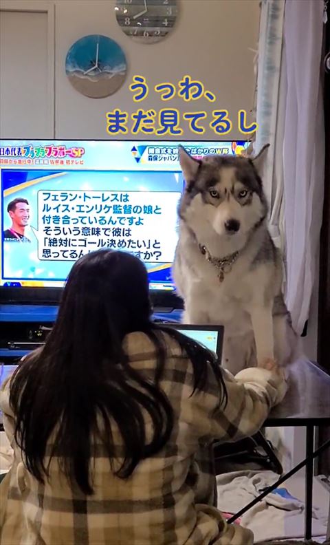 うっわまだ見てるしテロップ