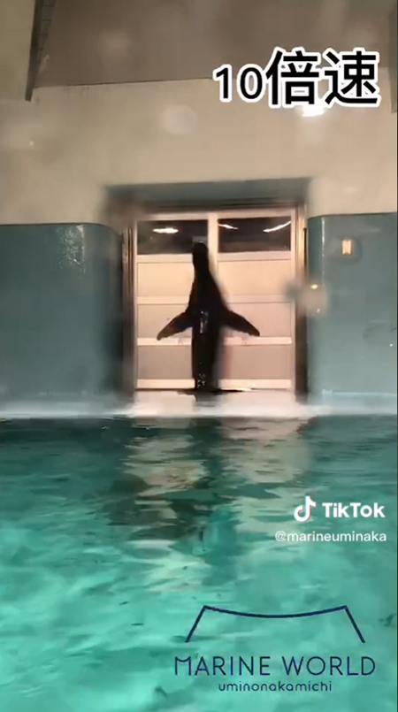 10倍速ぴたっ1回目