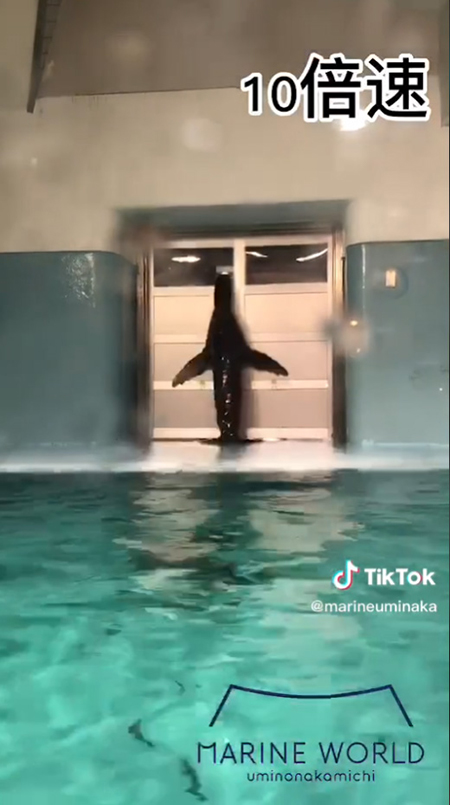 10倍速ぴたっ2回目