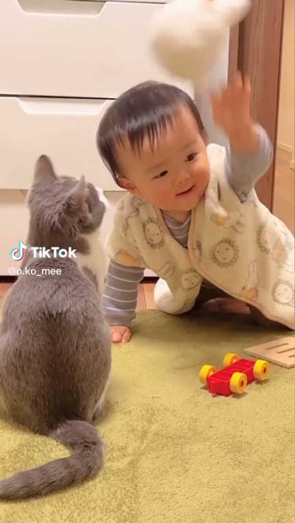 赤ちゃんと子猫