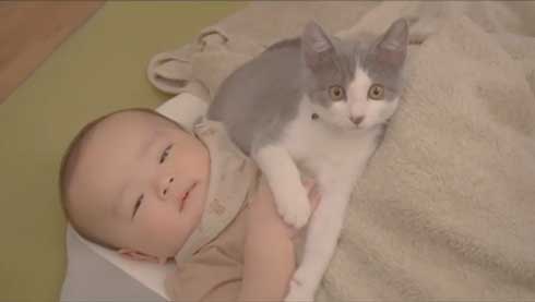 赤ちゃんと猫の成長記録