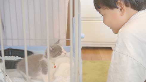 男の子と猫