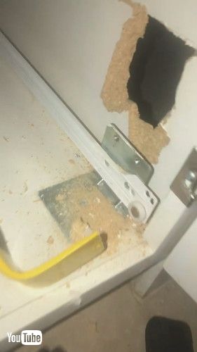 穴を開けた飼い主