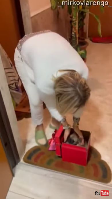 子犬のサプライズに喜ぶお母さん