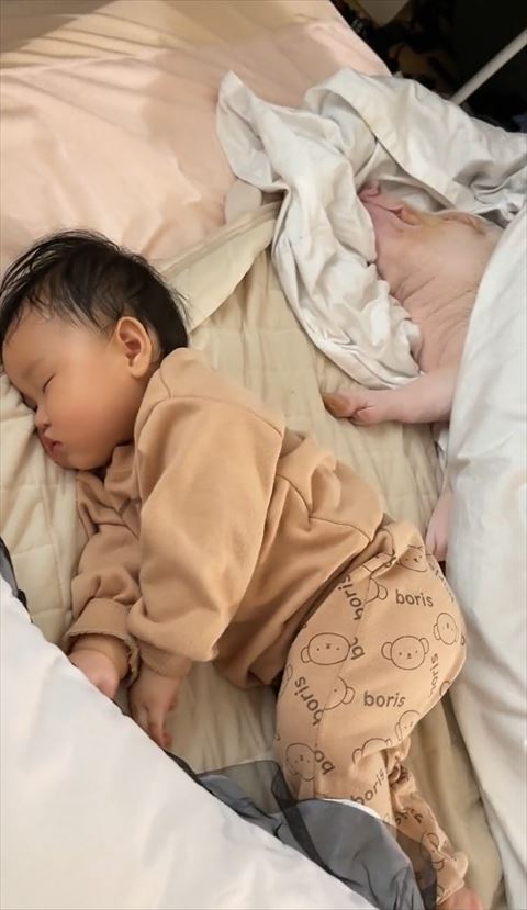 赤ちゃんと豚の寝姿前