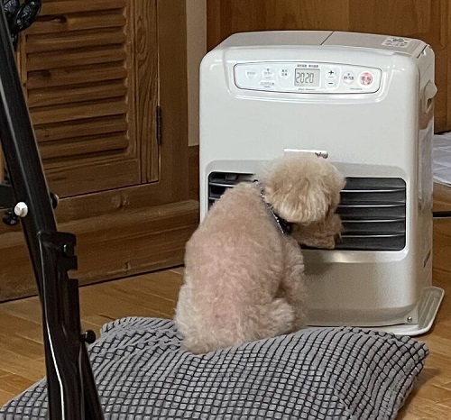 ペット手帳　ベストショット