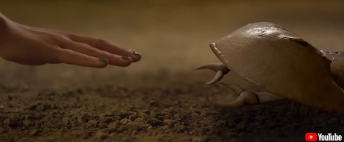 「キラーカブトガニ」レビュー　ルンバと思きやフェイスハガーが襲ってくるオタクパワーぶちまけ映画