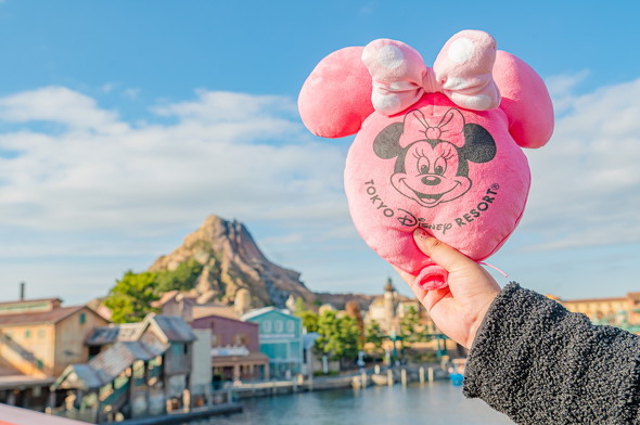 ディズニーシーの風景とグッズの画像