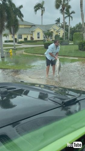 ハリケーン後に魚釣りをする男性