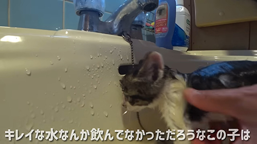 キレイな水なんて