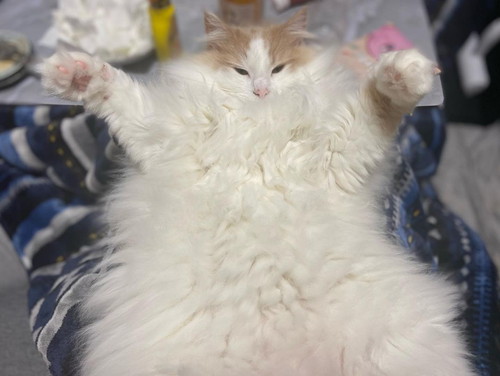 どーーーーん！