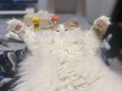 どーーーーん！