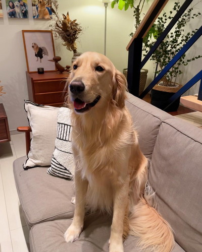 ジャーマンくん