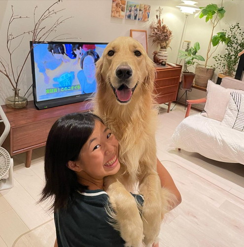 ジャーマンくん