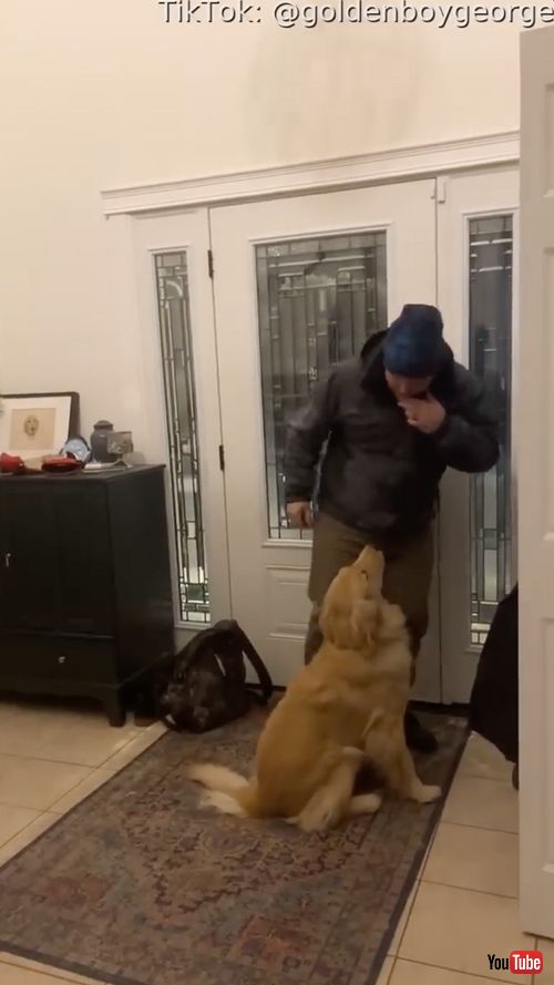 ブーツを脱ぐ隙を与えないワンコ