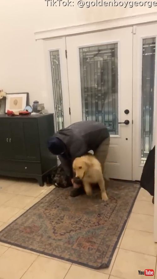 ブーツを脱ぐ隙を与えないワンコ