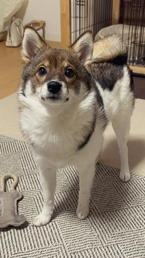 名前を呼んだらこの表情