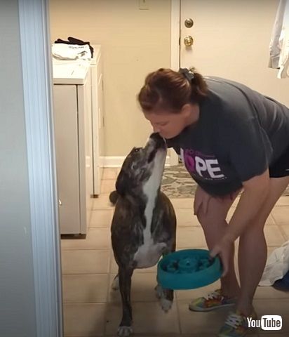 幸せそうなジャグヘッド