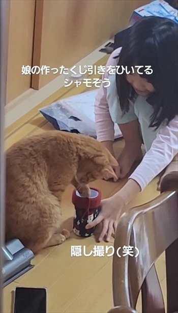 猫ちゃんの福引が楽しそう