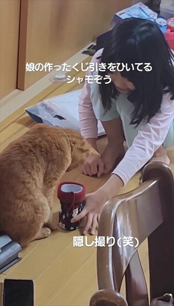 猫ちゃんの福引が楽しそう