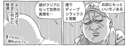 海外旅行 中南米 お香