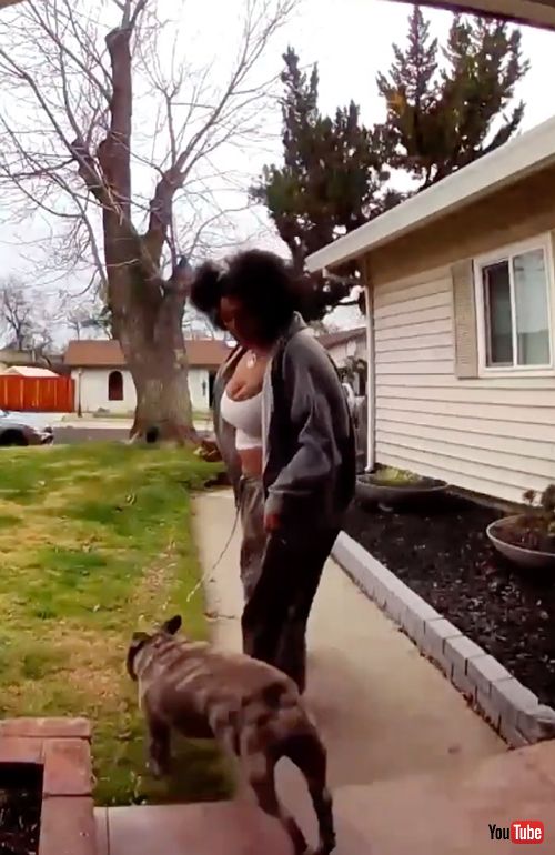 ワンコの脱走を阻止する飼い主