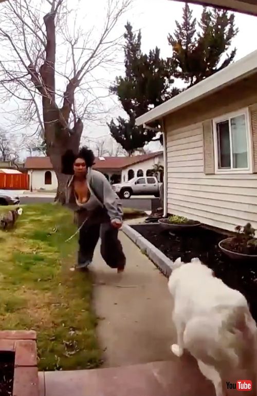 ワンコの脱走を阻止する飼い主